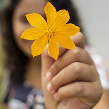 Margarida